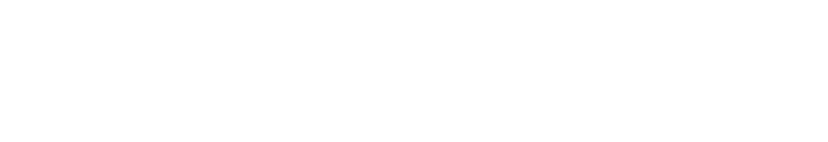 Evosys Laser Services